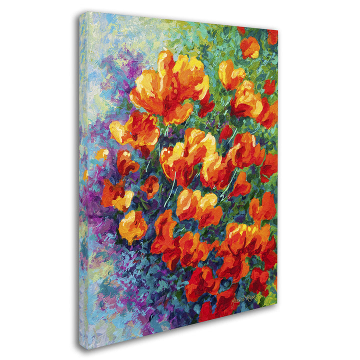 Marion Rose Cal Poppies Ready to Hang Canvas Art 14 x 19 Inches Made in USA Image 2