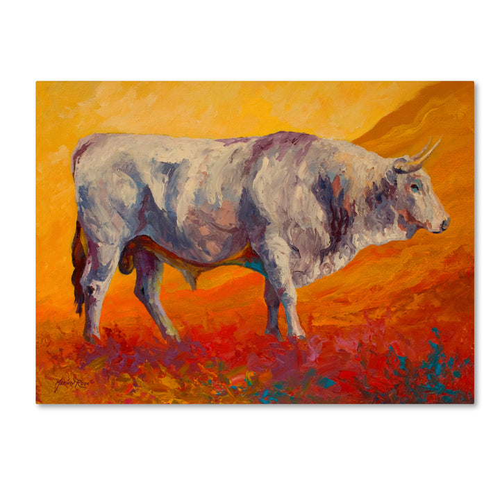 Marion Rose Bull Market Ready to Hang Canvas Art 14 x 19 Inches Made in USA Image 1