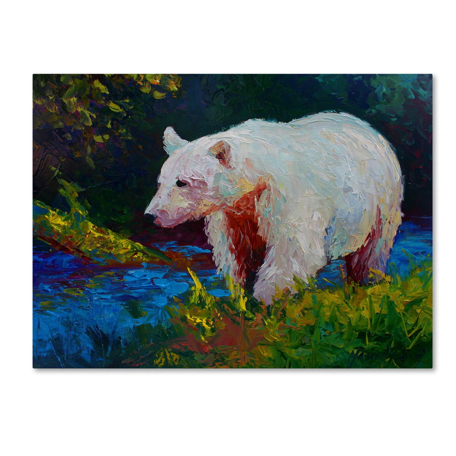 Marion Rose Capture the Spirit Ready to Hang Canvas Art 14 x 19 Inches Made in USA Image 1