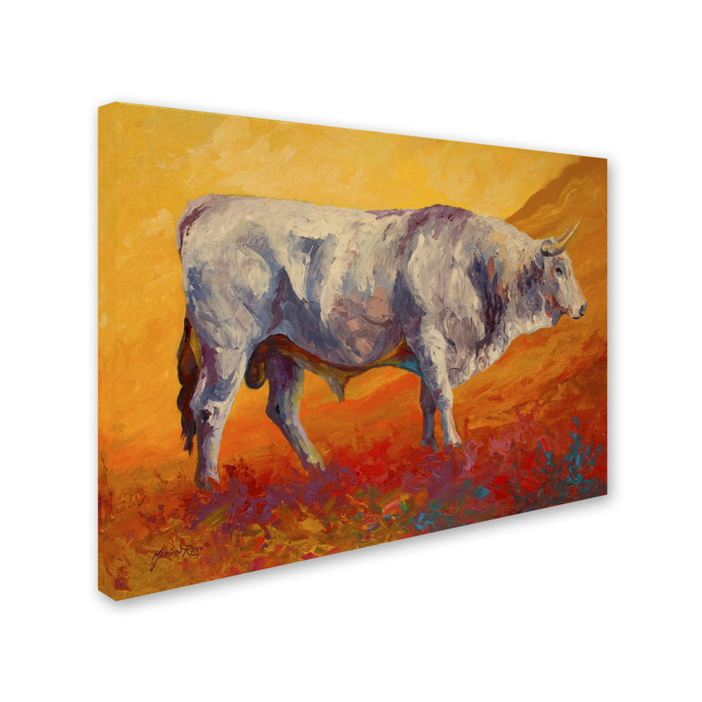 Marion Rose Bull Market Ready to Hang Canvas Art 14 x 19 Inches Made in USA Image 2