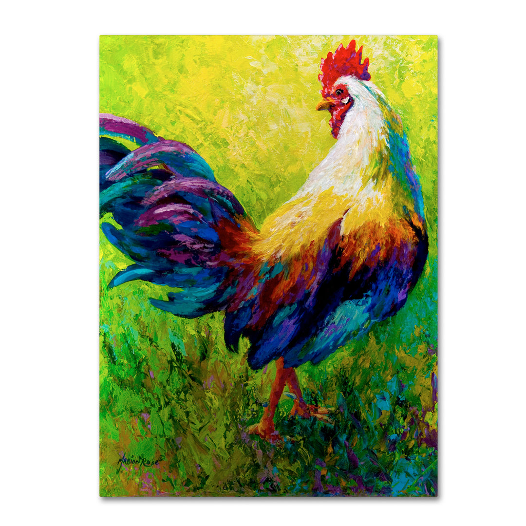 Marion Rose CEO Rooster Ready to Hang Canvas Art 14 x 19 Inches Made in USA Image 1