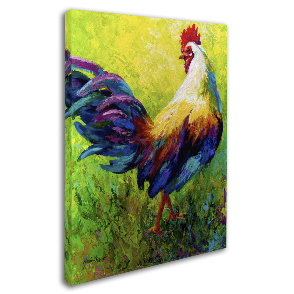 Marion Rose CEO Rooster Ready to Hang Canvas Art 14 x 19 Inches Made in USA Image 2