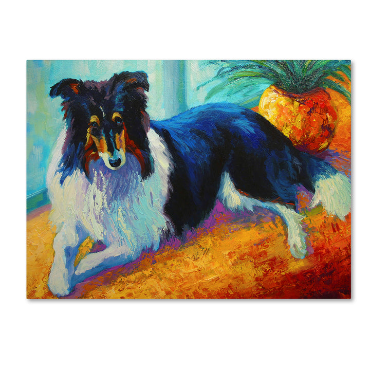 Marion Rose Collie Ready to Hang Canvas Art 14 x 19 Inches Made in USA Image 1