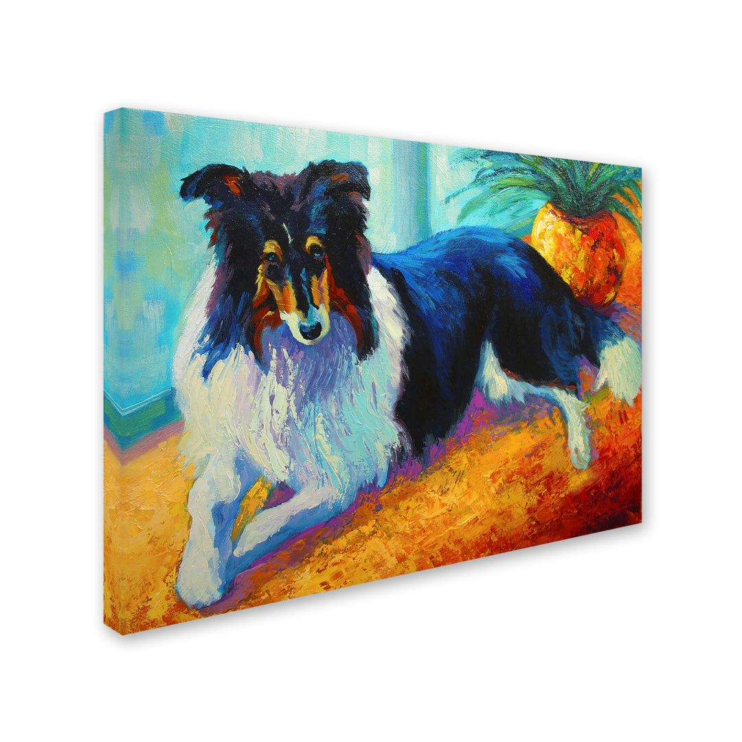 Marion Rose Collie Ready to Hang Canvas Art 14 x 19 Inches Made in USA Image 2