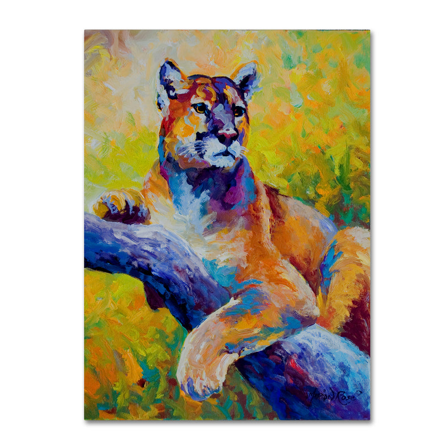 Marion Rose Cub Ready to Hang Canvas Art 14 x 19 Inches Made in USA Image 1