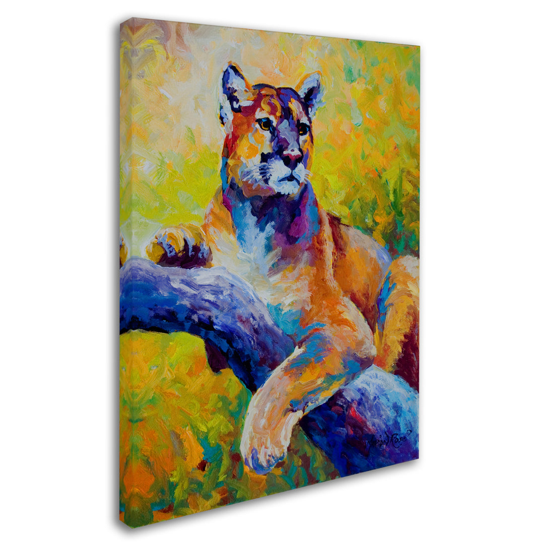 Marion Rose Cub Ready to Hang Canvas Art 14 x 19 Inches Made in USA Image 2