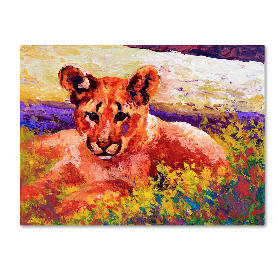 Marion Rose Cub I Ready to Hang Canvas Art 14 x 19 Inches Made in USA Image 1