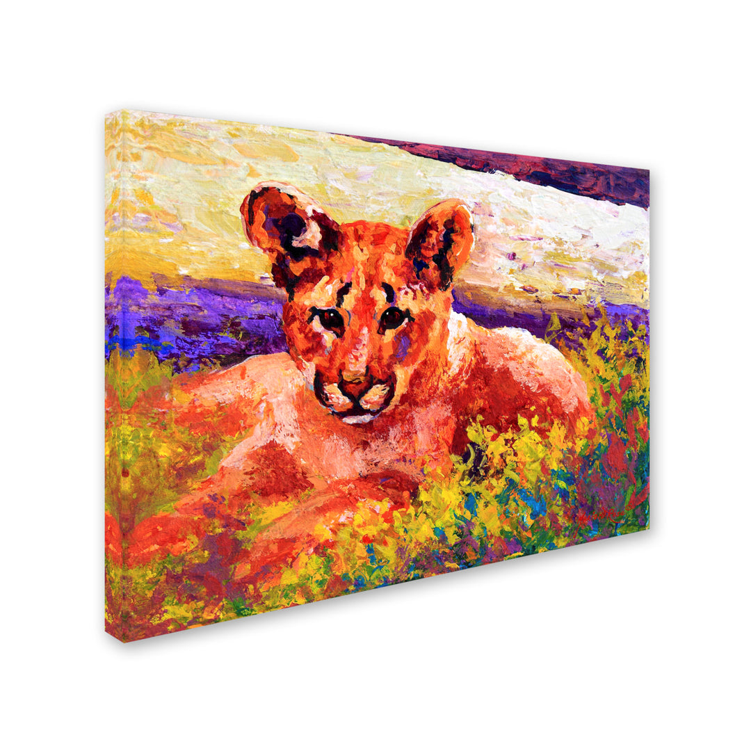 Marion Rose Cub I Ready to Hang Canvas Art 14 x 19 Inches Made in USA Image 2