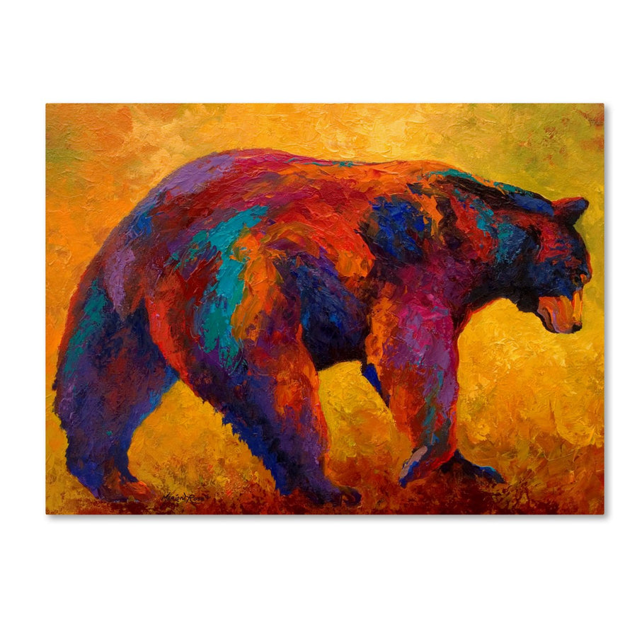 Marion Rose Daily Rounds Black Bear Ready to Hang Canvas Art 14 x 19 Inches Made in USA Image 1