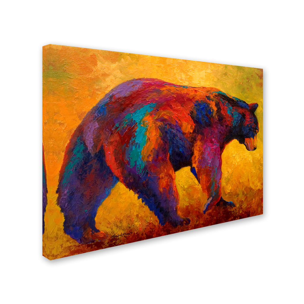 Marion Rose Daily Rounds Black Bear Ready to Hang Canvas Art 14 x 19 Inches Made in USA Image 2