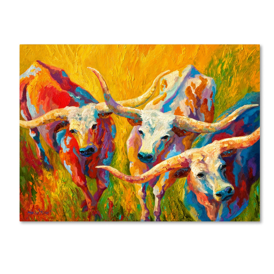 Marion Rose Dance of the Longhorns Ready to Hang Canvas Art 14 x 19 Inches Made in USA Image 1