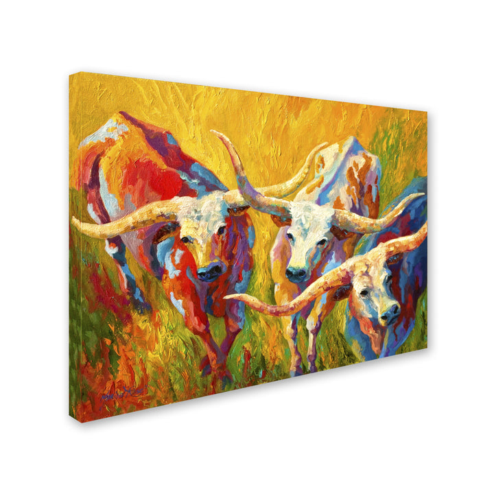Marion Rose Dance of the Longhorns Ready to Hang Canvas Art 14 x 19 Inches Made in USA Image 2