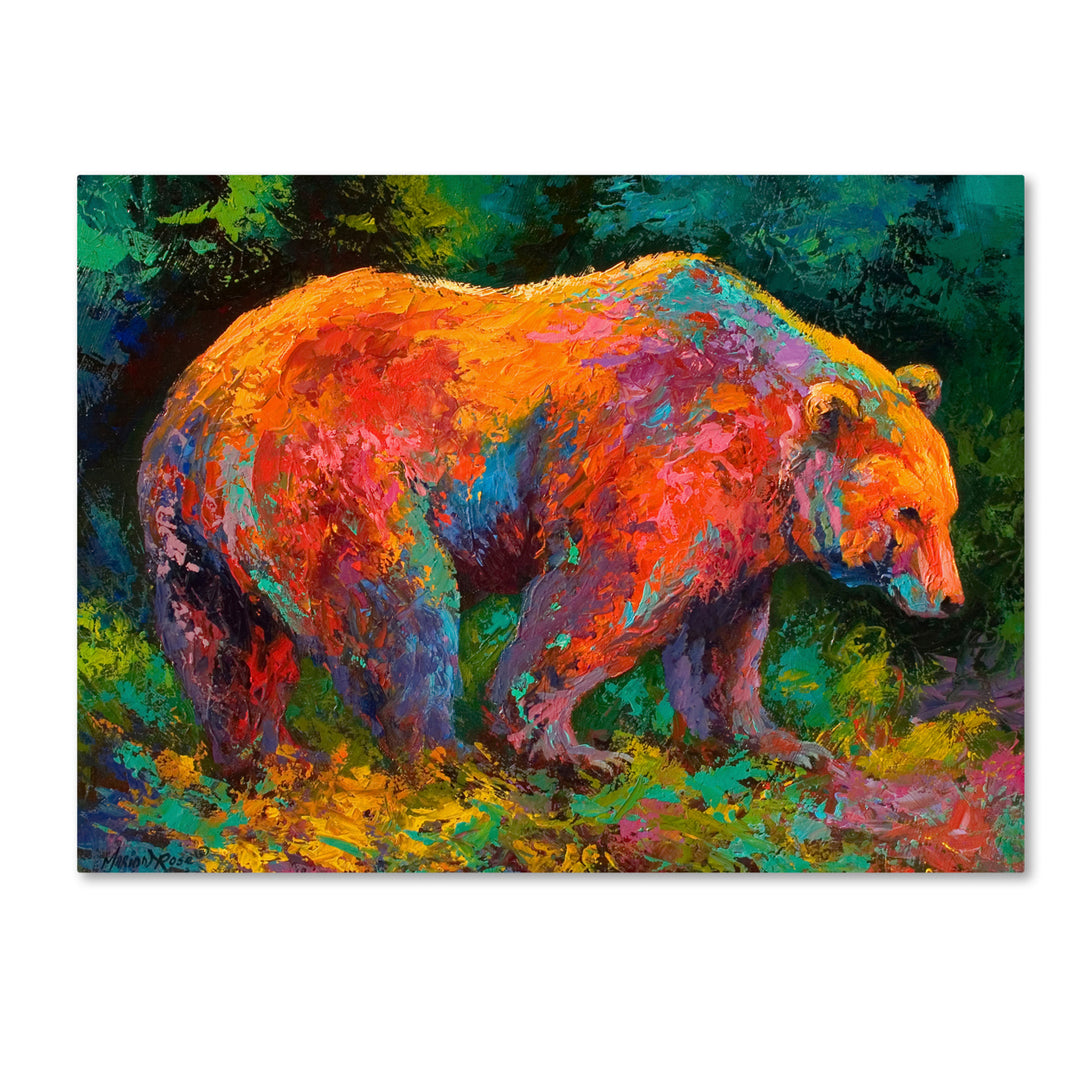 Marion Rose Deep Woods Grizz Ready to Hang Canvas Art 14 x 19 Inches Made in USA Image 1