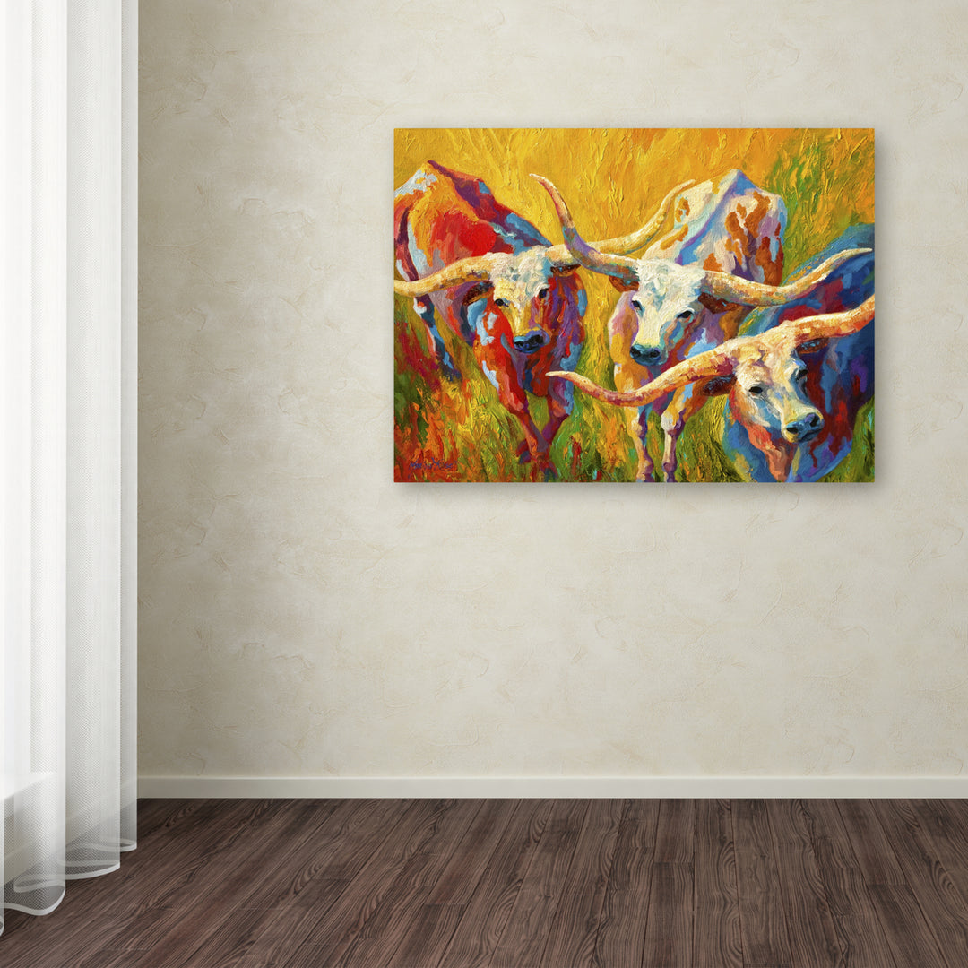 Marion Rose Dance of the Longhorns Ready to Hang Canvas Art 14 x 19 Inches Made in USA Image 3