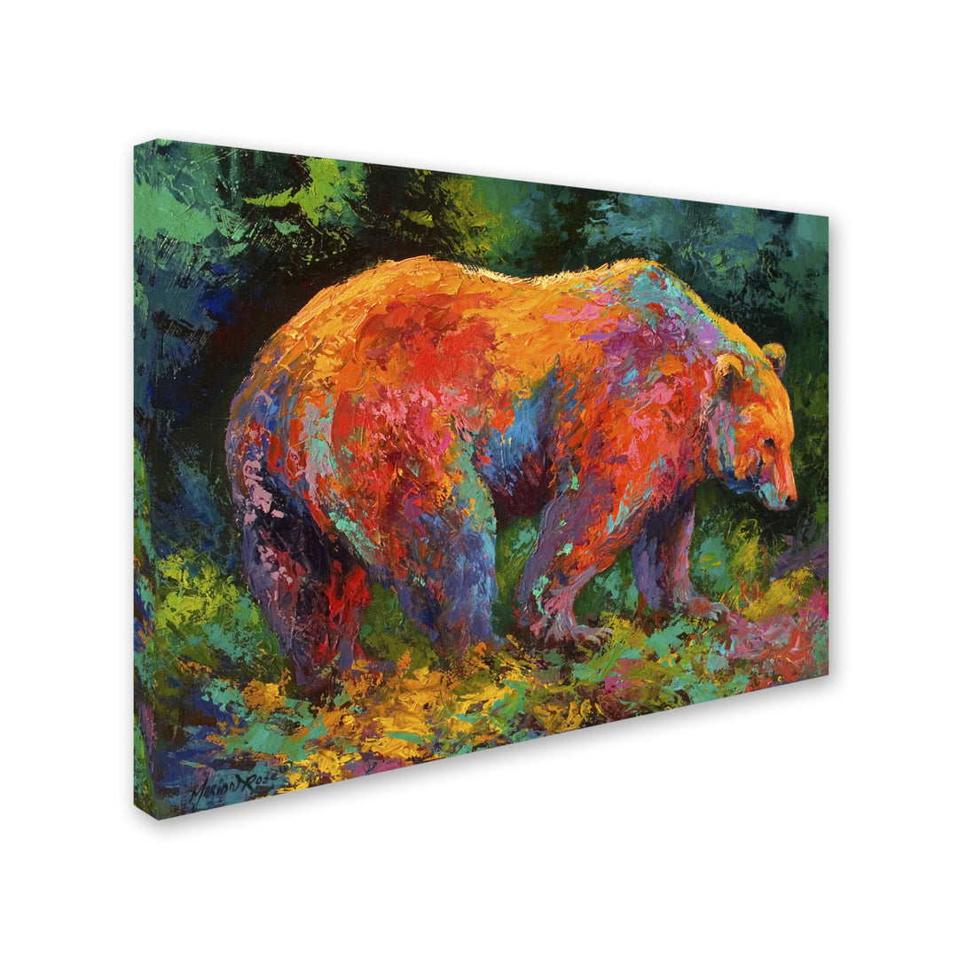 Marion Rose Deep Woods Grizz Ready to Hang Canvas Art 14 x 19 Inches Made in USA Image 2