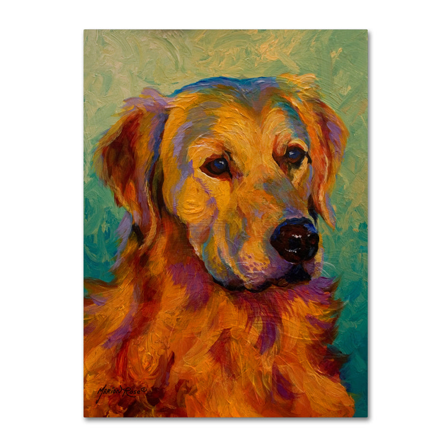 Marion Rose Den Retriever Ready to Hang Canvas Art 14 x 19 Inches Made in USA Image 1
