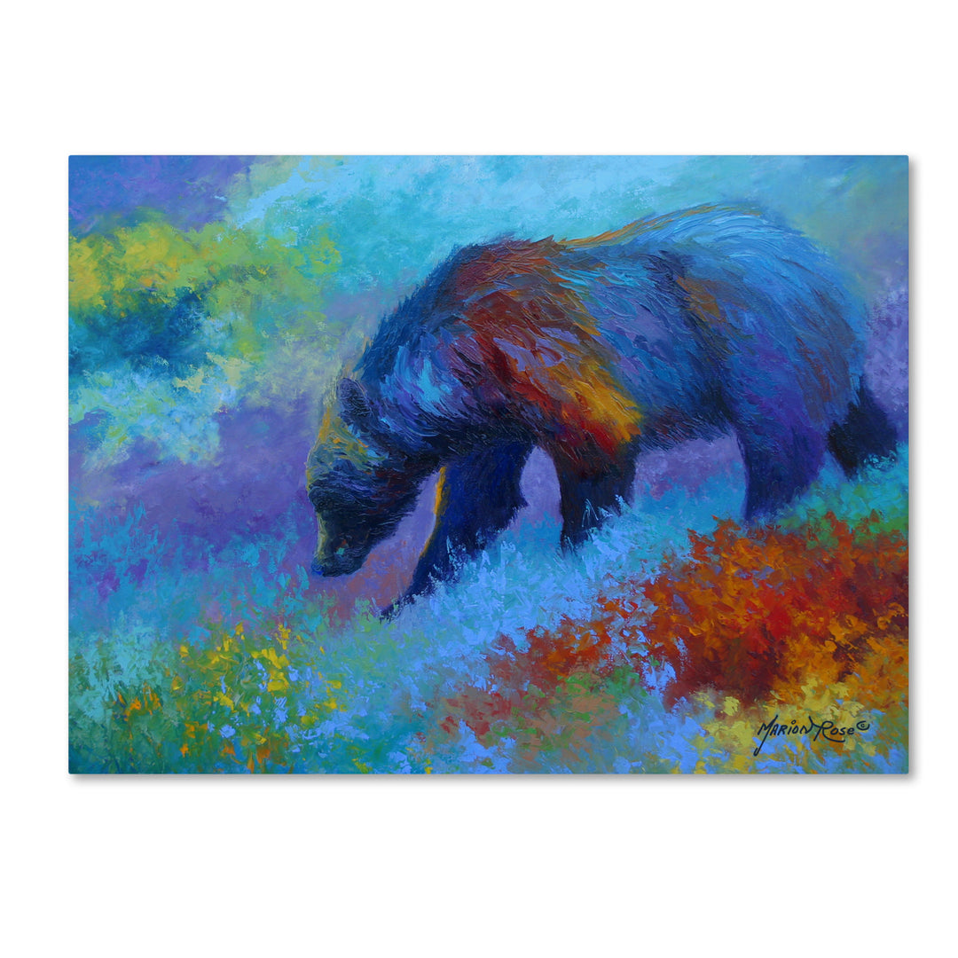 Marion Rose Denali Grizzly Ready to Hang Canvas Art 14 x 19 Inches Made in USA Image 1