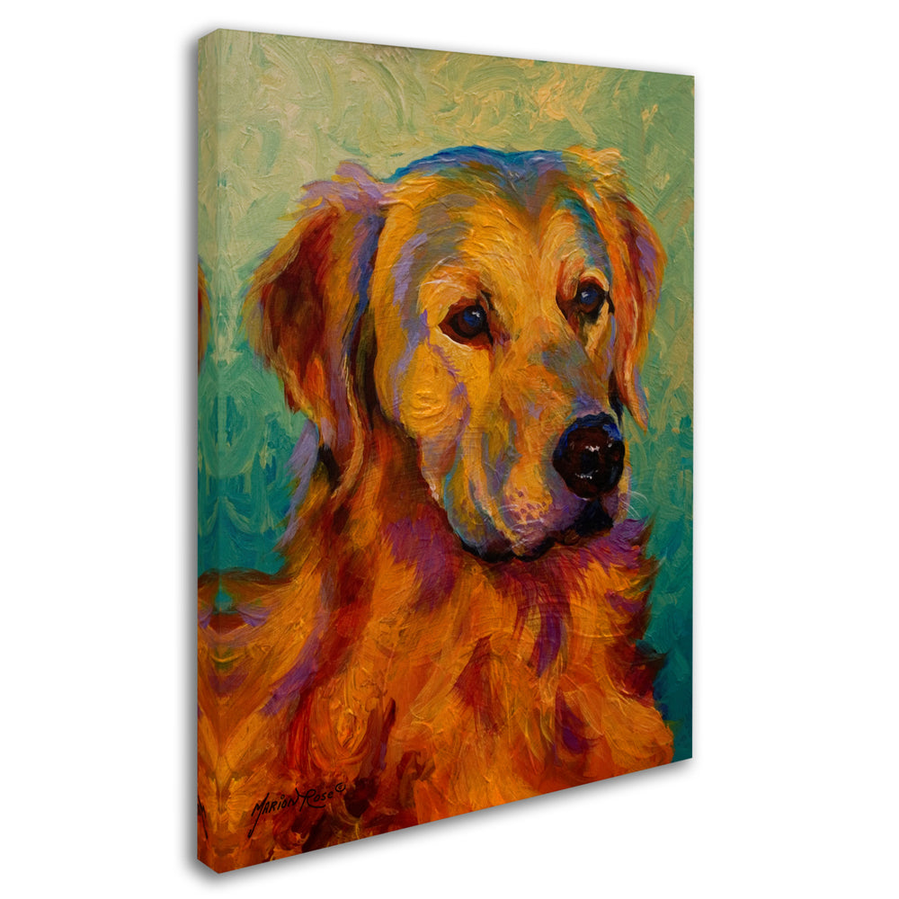Marion Rose Den Retriever Ready to Hang Canvas Art 14 x 19 Inches Made in USA Image 2