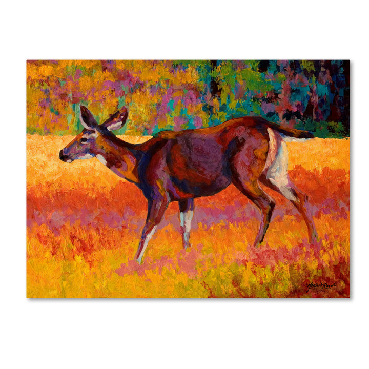 Marion Rose Doe I Ready to Hang Canvas Art 14 x 19 Inches Made in USA Image 1