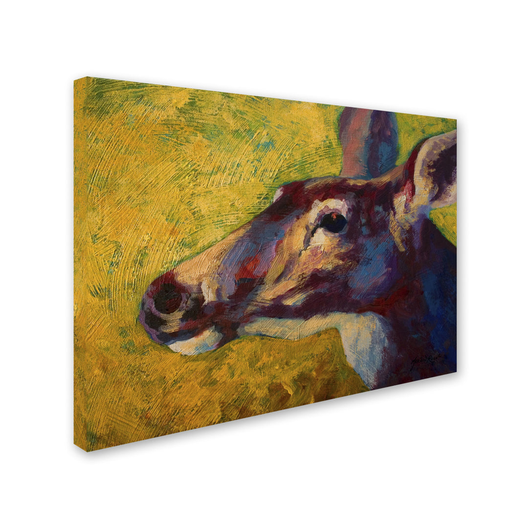Marion Rose Doe Darling Ready to Hang Canvas Art 14 x 19 Inches Made in USA Image 2