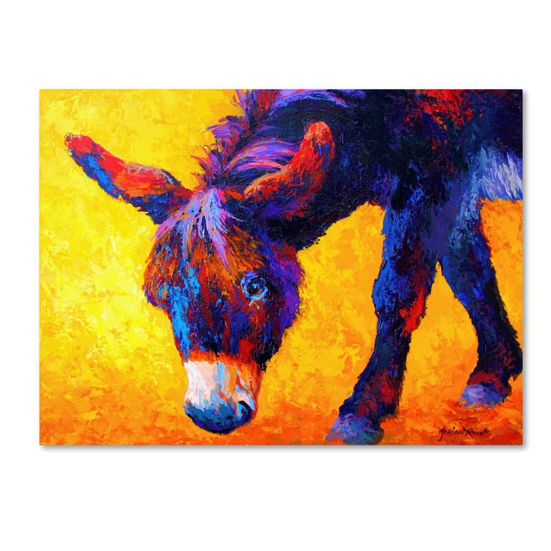 Marion Rose Donkey II Ready to Hang Canvas Art 14 x 19 Inches Made in USA Image 1