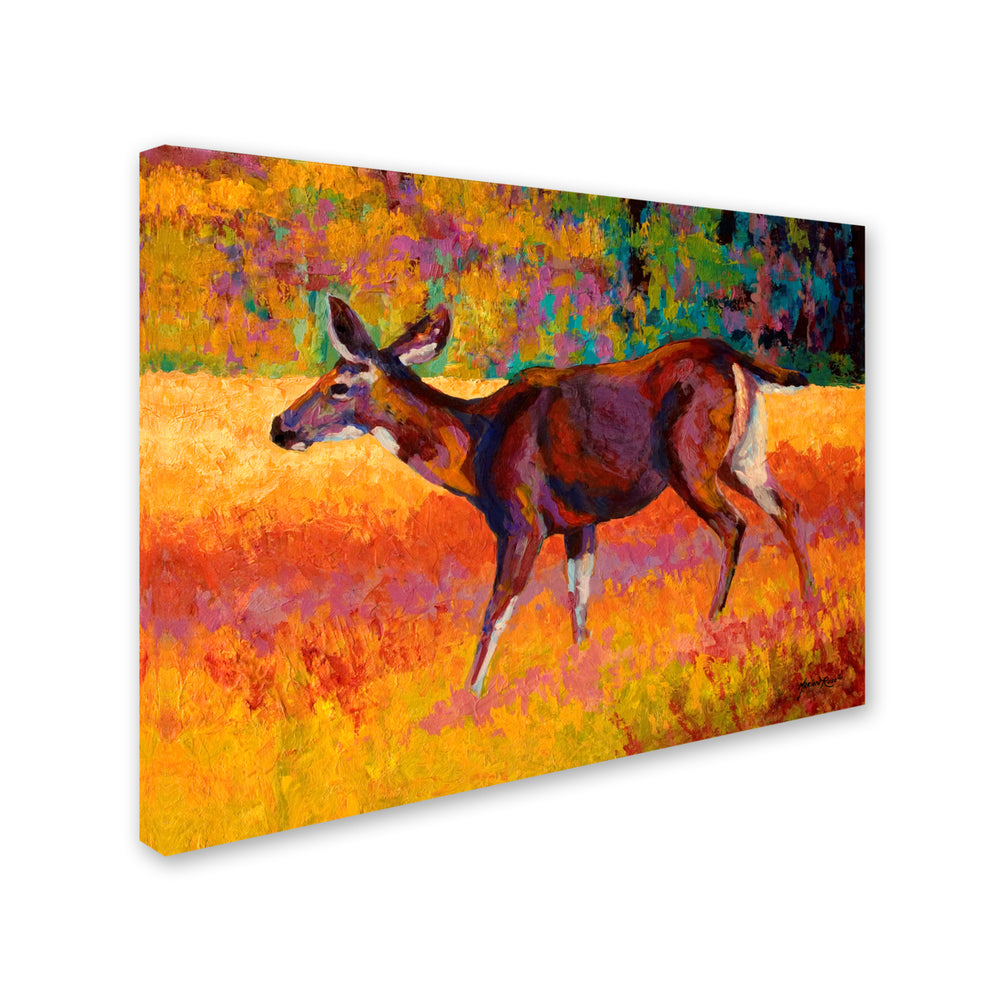 Marion Rose Doe I Ready to Hang Canvas Art 14 x 19 Inches Made in USA Image 2