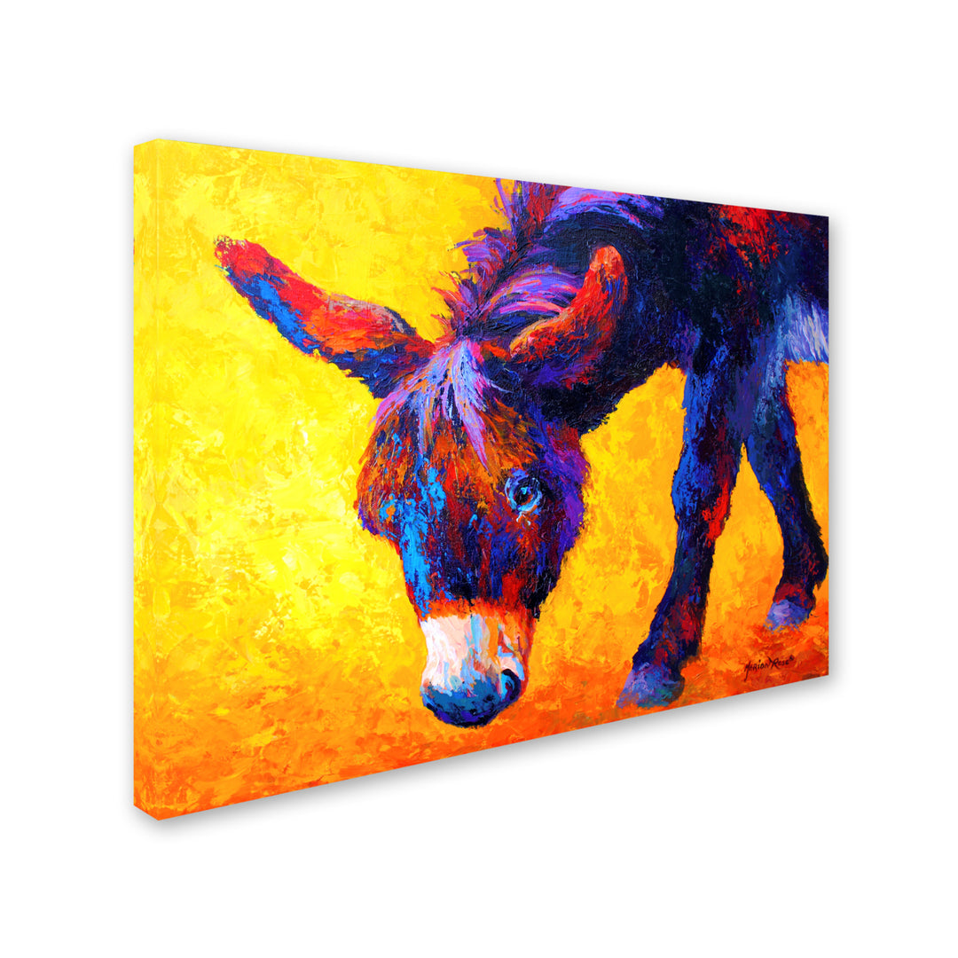 Marion Rose Donkey II Ready to Hang Canvas Art 14 x 19 Inches Made in USA Image 2