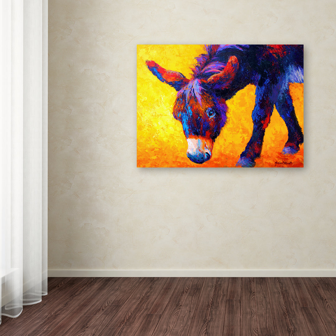 Marion Rose Donkey II Ready to Hang Canvas Art 14 x 19 Inches Made in USA Image 3