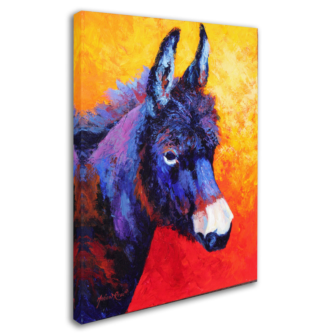 Marion Rose Donkey IVX Ready to Hang Canvas Art 14 x 19 Inches Made in USA Image 2