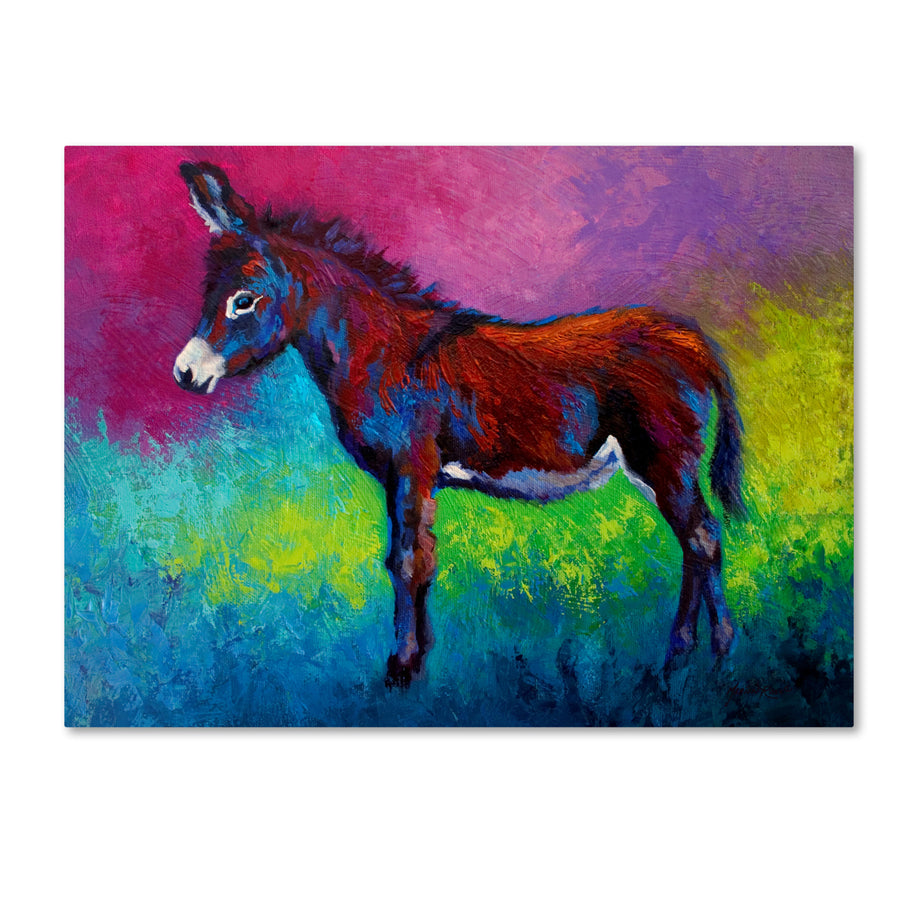 Marion Rose Donkey Jenny Ready to Hang Canvas Art 14 x 19 Inches Made in USA Image 1