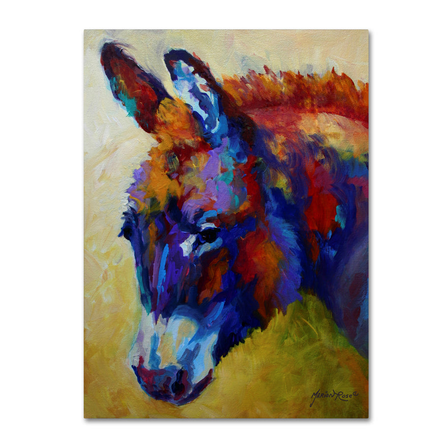 Marion Rose Donkey XIII Ready to Hang Canvas Art 14 x 19 Inches Made in USA Image 1