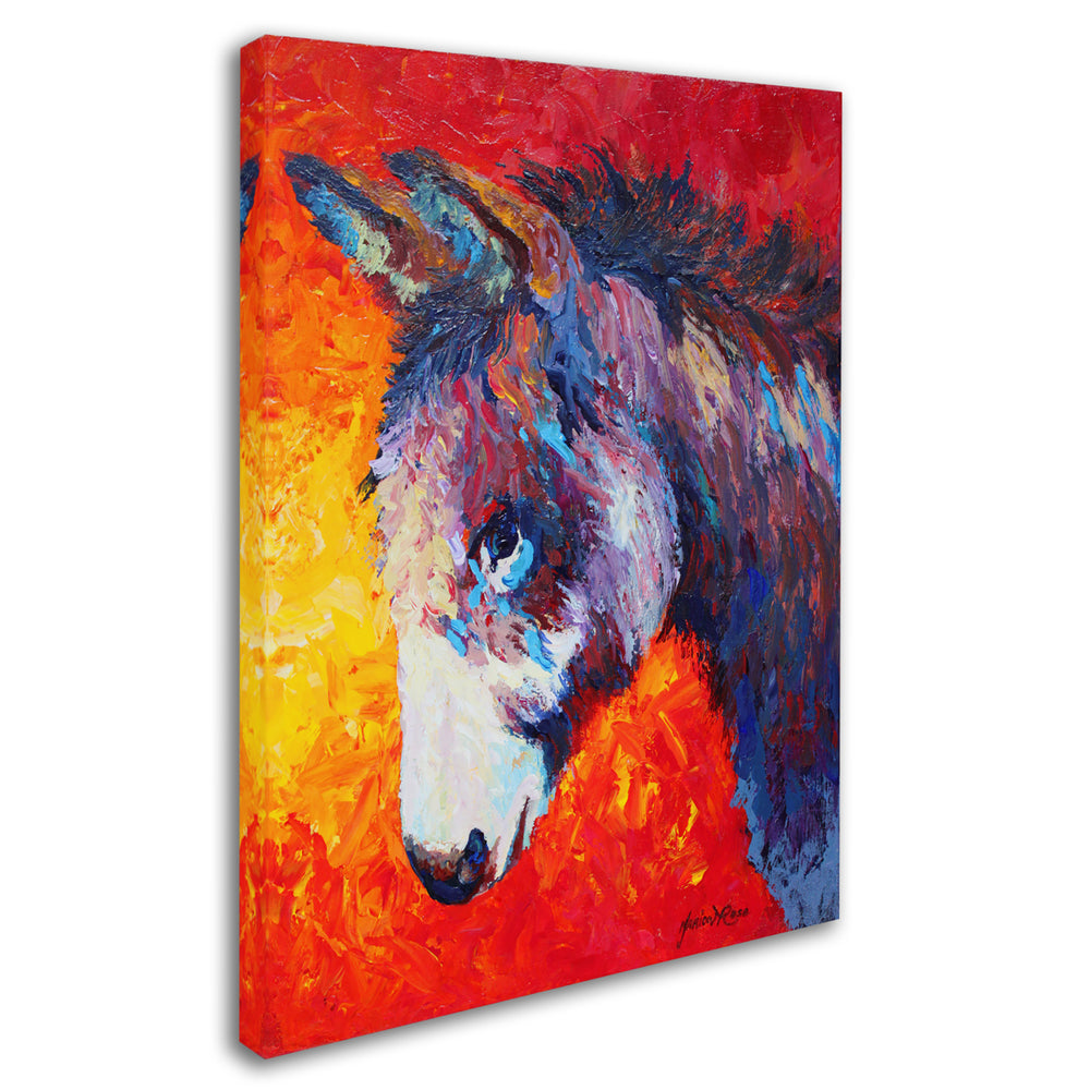 Marion Rose Donkey V Ready to Hang Canvas Art 14 x 19 Inches Made in USA Image 2