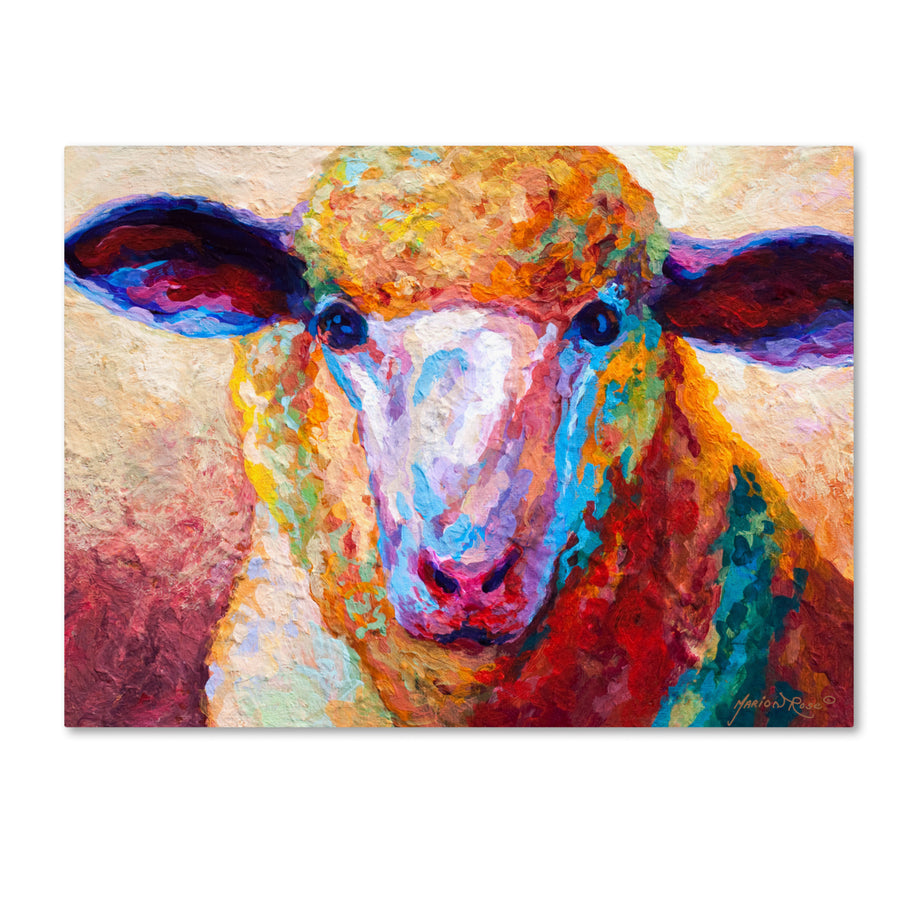 Marion Rose Dorset Ewe Ready to Hang Canvas Art 14 x 19 Inches Made in USA Image 1