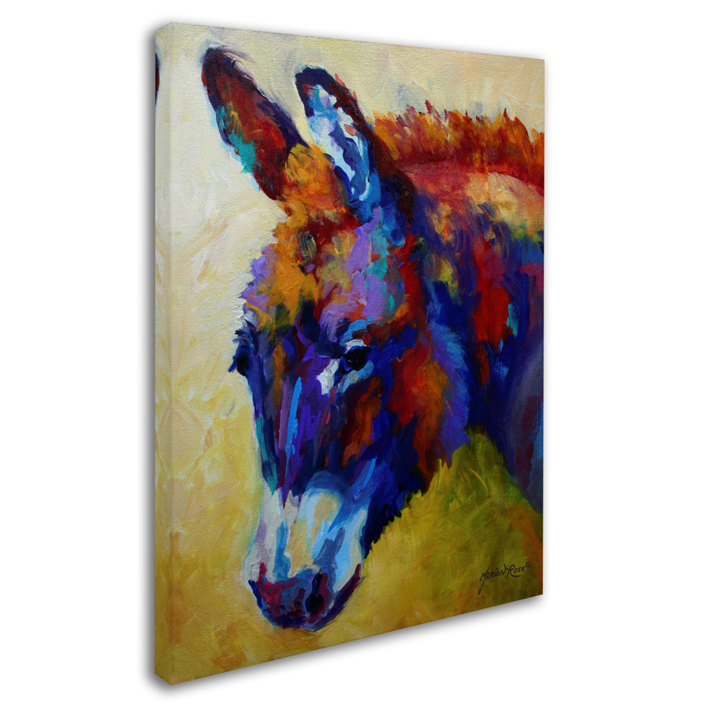Marion Rose Donkey XIII Ready to Hang Canvas Art 14 x 19 Inches Made in USA Image 2