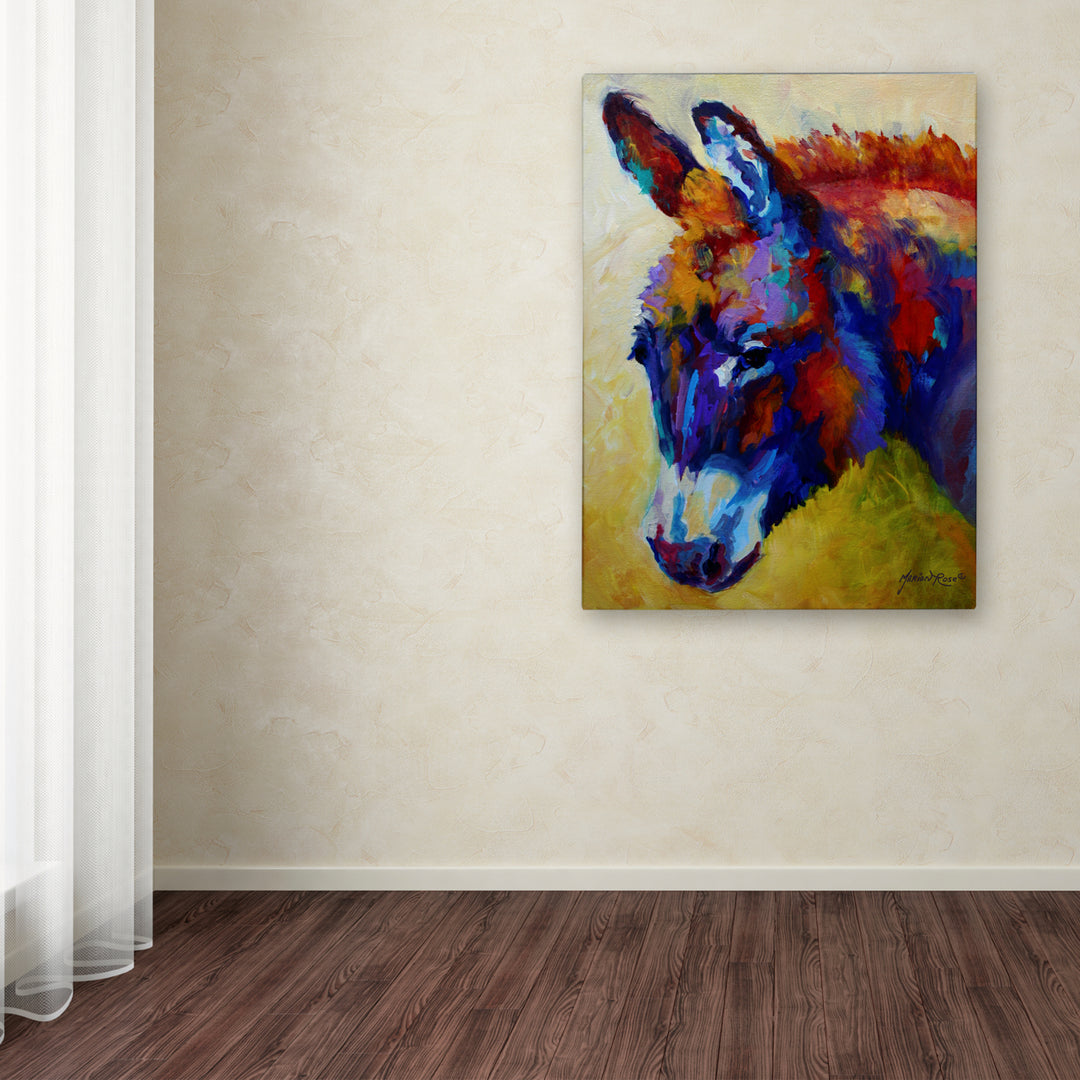 Marion Rose Donkey XIII Ready to Hang Canvas Art 14 x 19 Inches Made in USA Image 3