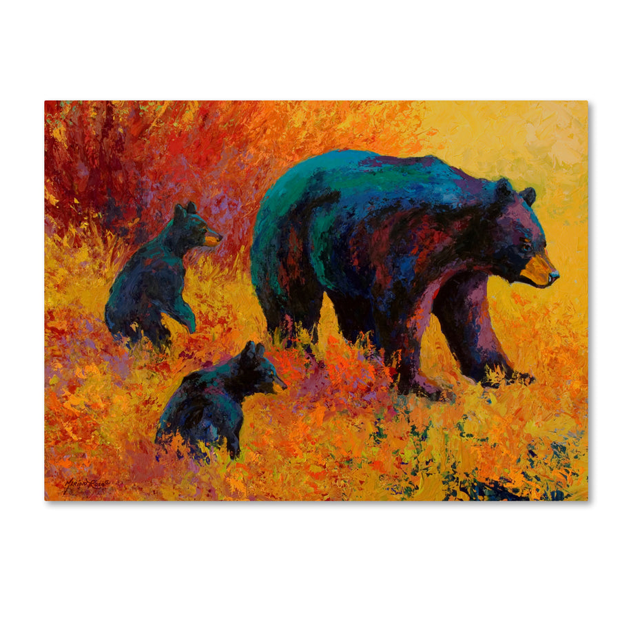 Marion Rose Double Trouble Black Bear Ready to Hang Canvas Art 14 x 19 Inches Made in USA Image 1