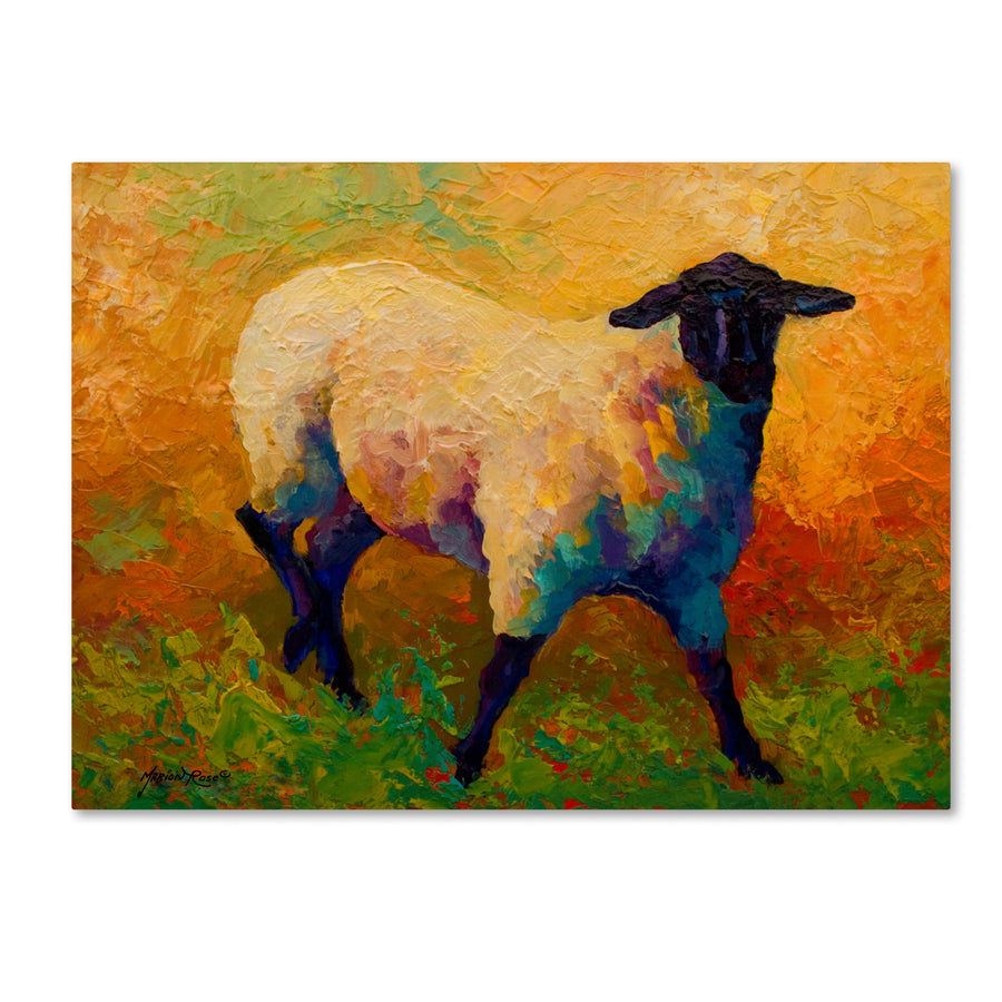 Marion Rose Ewe Portrait IV Ready to Hang Canvas Art 14 x 19 Inches Made in USA Image 1