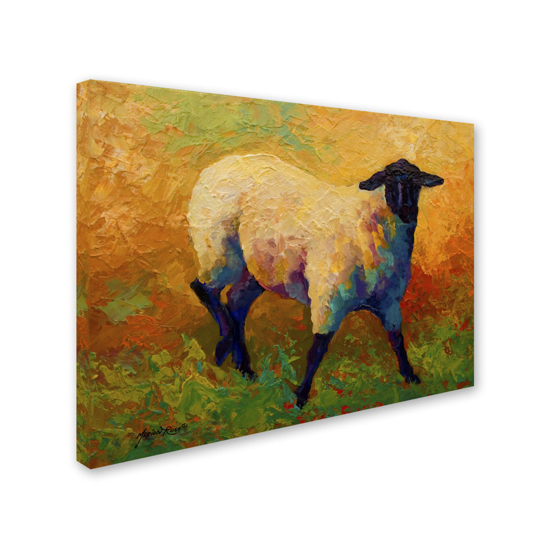 Marion Rose Ewe Portrait IV Ready to Hang Canvas Art 14 x 19 Inches Made in USA Image 2