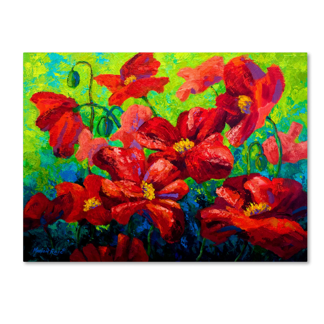 Marion Rose Field of Poppies A Ready to Hang Canvas Art 14 x 19 Inches Made in USA Image 1