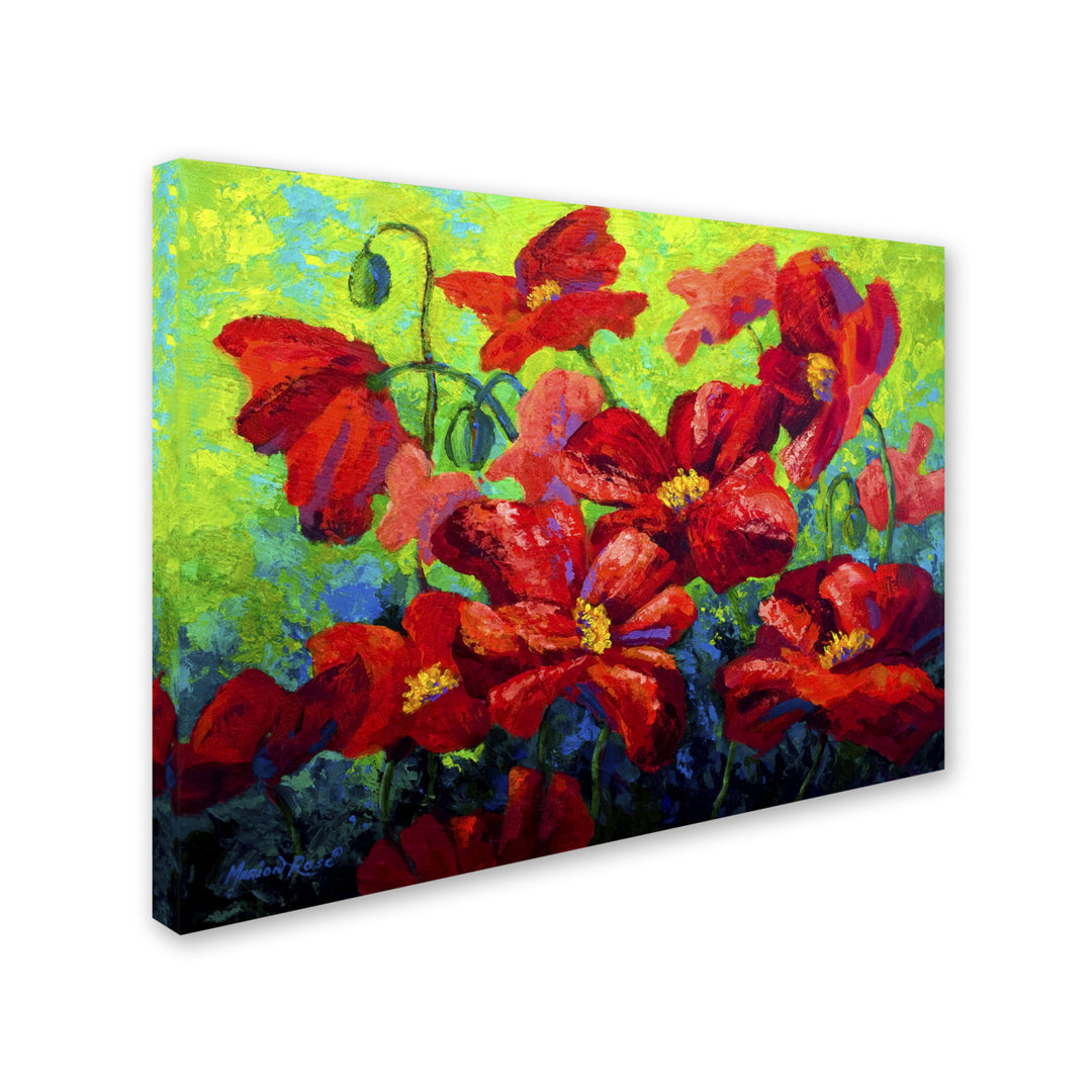 Marion Rose Field of Poppies A Ready to Hang Canvas Art 14 x 19 Inches Made in USA Image 2