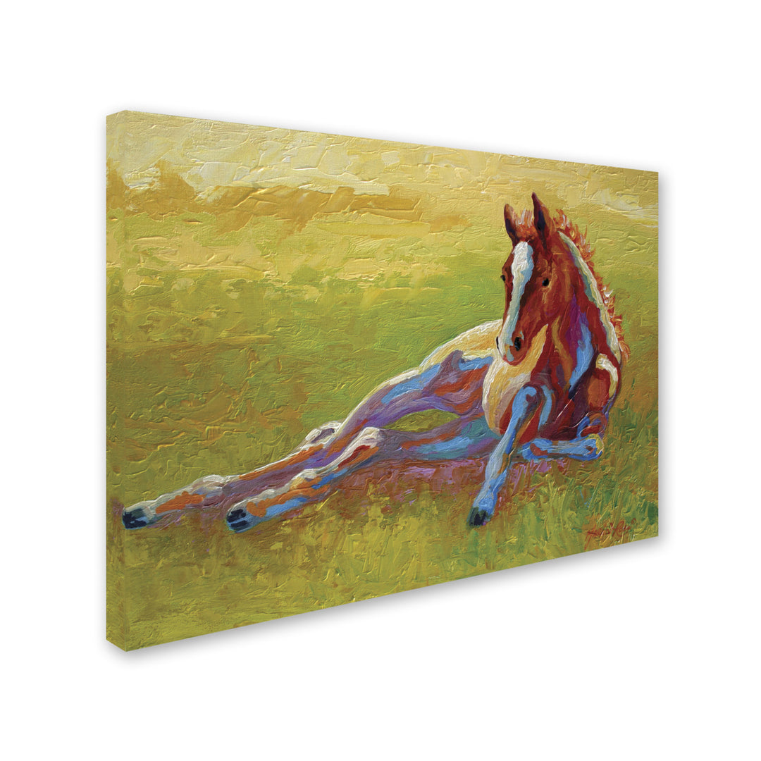 Marion Rose Foal Lying Ready to Hang Canvas Art 14 x 19 Inches Made in USA Image 2