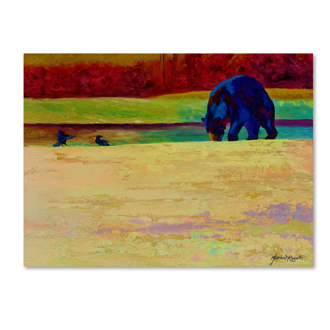 Marion Rose Foraging At Neets Bay Ready to Hang Canvas Art 14 x 19 Inches Made in USA Image 1