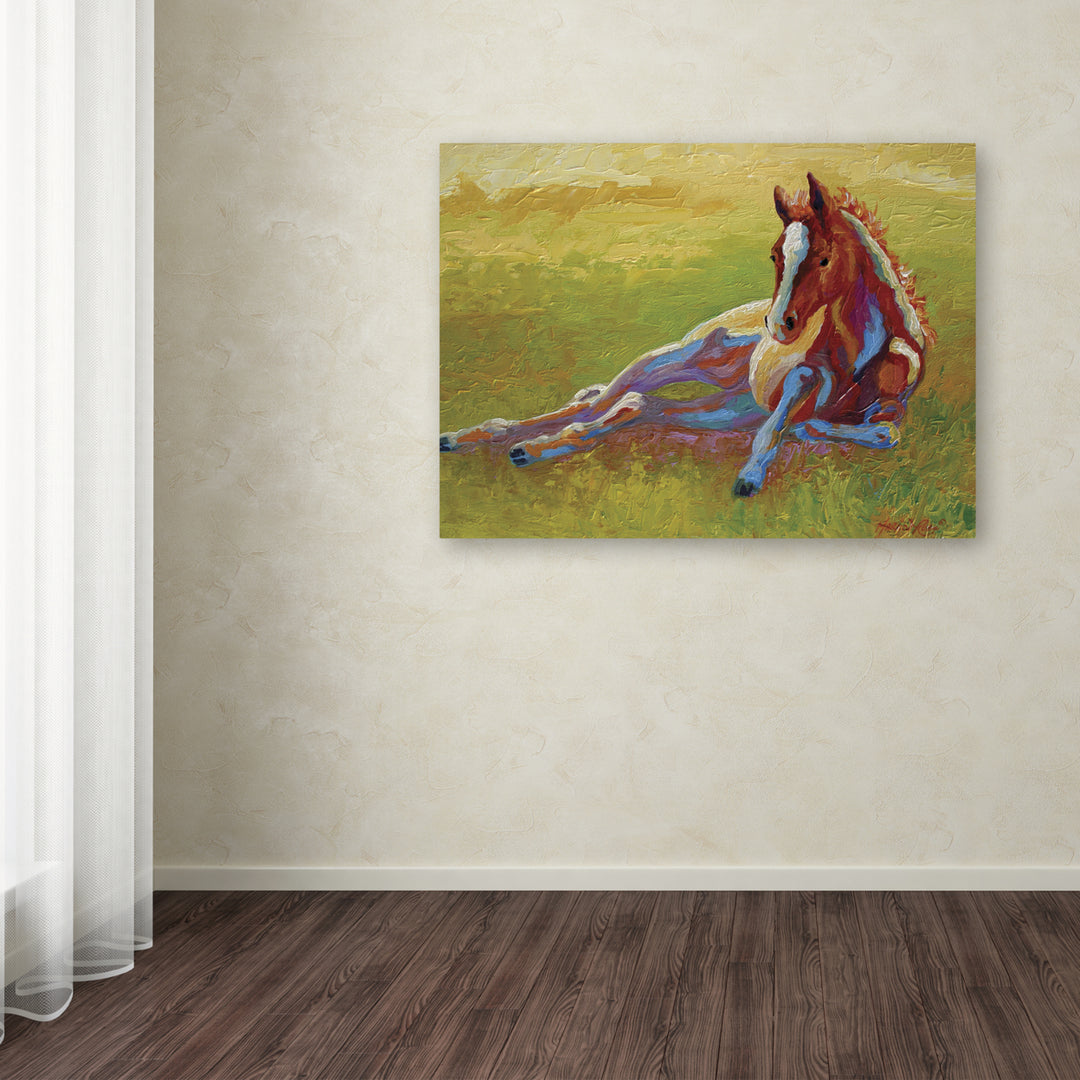 Marion Rose Foal Lying Ready to Hang Canvas Art 14 x 19 Inches Made in USA Image 3