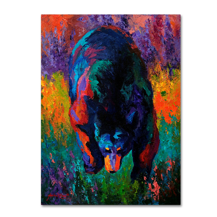 Marion Rose Grounded Black Bear Ready to Hang Canvas Art 14 x 19 Inches Made in USA Image 1