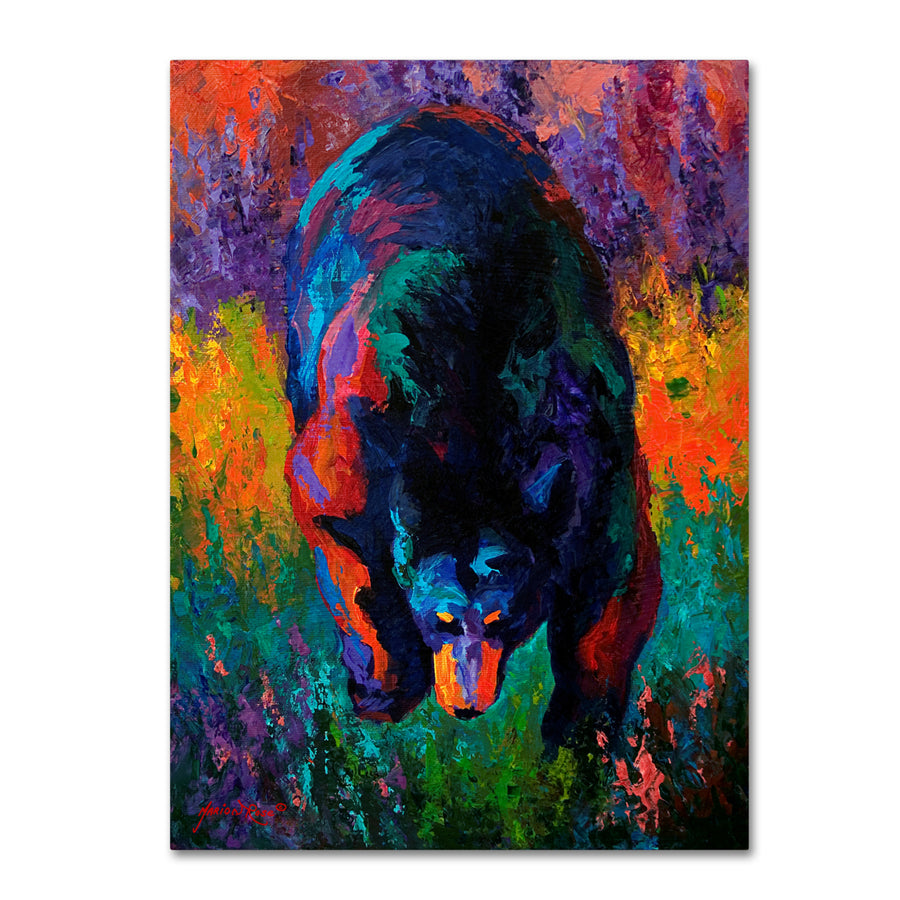 Marion Rose Grounded Black Bear Ready to Hang Canvas Art 14 x 19 Inches Made in USA Image 1