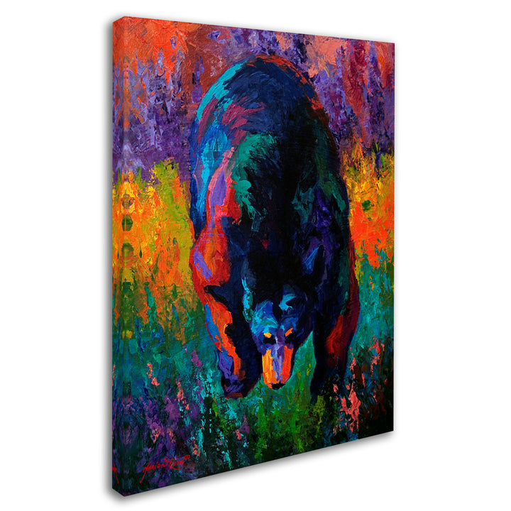 Marion Rose Grounded Black Bear Ready to Hang Canvas Art 14 x 19 Inches Made in USA Image 2