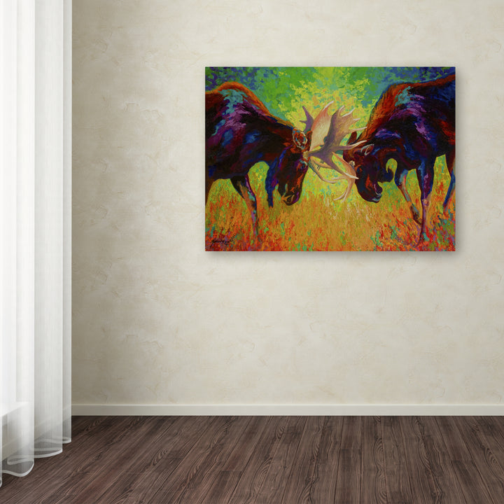 Marion Rose Just Sparring Moose Ready to Hang Canvas Art 14 x 19 Inches Made in USA Image 3