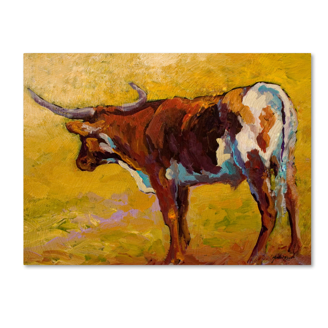 Marion Rose Longhorn Back Portrait Ready to Hang Canvas Art 14 x 19 Inches Made in USA Image 1