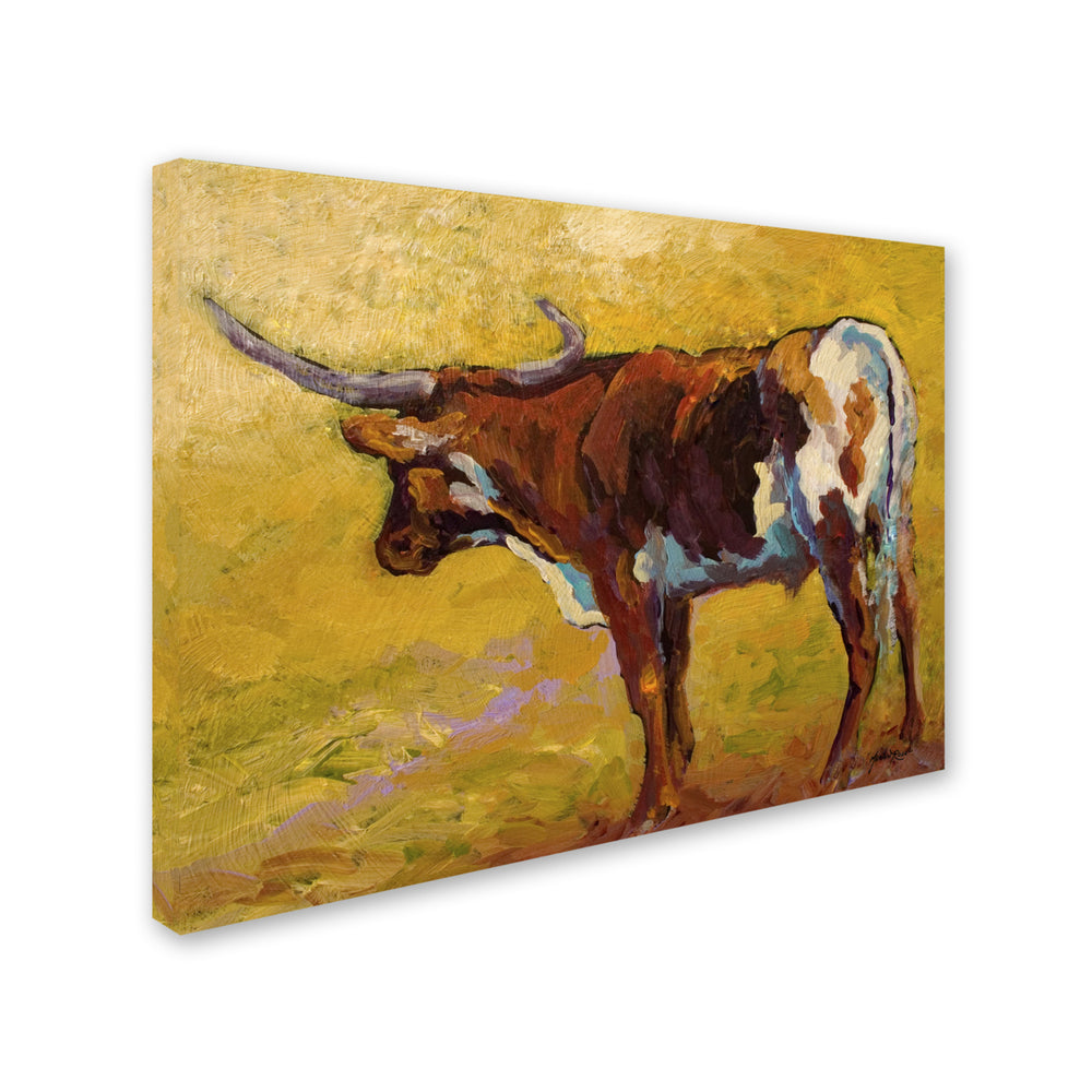 Marion Rose Longhorn Back Portrait Ready to Hang Canvas Art 14 x 19 Inches Made in USA Image 2