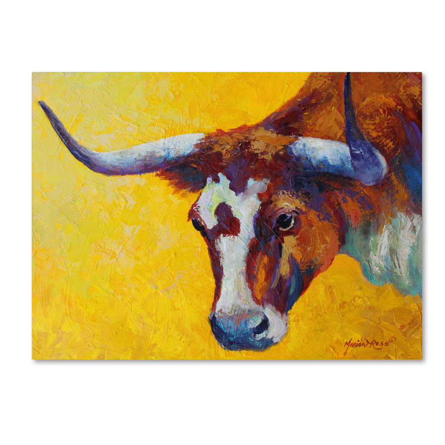 Marion Rose Longhorn Cow Study Ready to Hang Canvas Art 14 x 19 Inches Made in USA Image 1